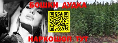 дмт Дубна