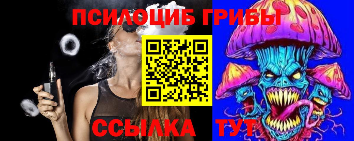 Псилоцибиновые грибы мицелий Прокопьевск